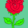 rosa dibuix